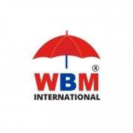 WBM International