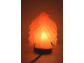 salt-lamps-export-quality-small-2