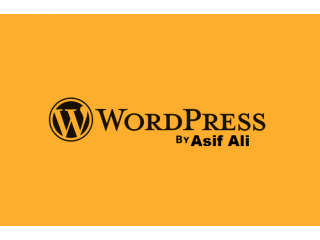 I will design, redesign, or fix a word press website