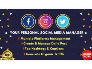 I will be your full time social media manager advertisement