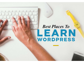 I will be your WordPress trainer tutor coach virtual assistant