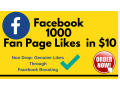 i-will-provide-1000-facebook-fan-page-likes-in-1650-small-0