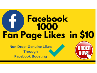 I Will Provide 1000 Facebook Fan Page Likes in 1650