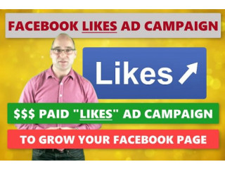 I will run a facebook ad campaign to grow page likes