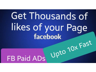 I will create facebook ads to grow your page likes