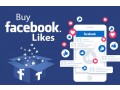 i-will-run-facebook-ads-to-grow-your-page-likes-small-0