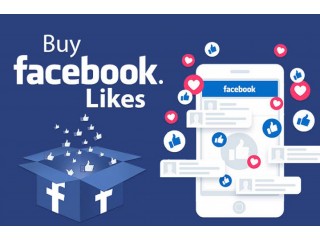 I will run facebook ads to grow your page likes