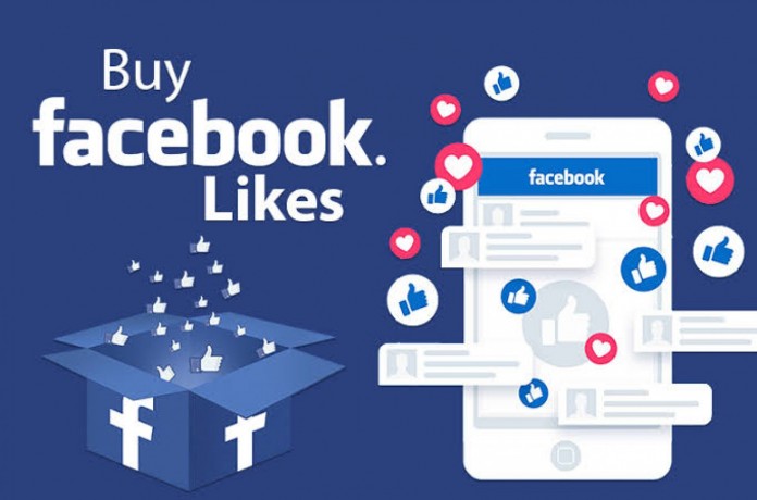 i-will-run-facebook-ads-to-grow-your-page-likes-big-0