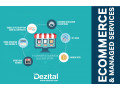 dezital-managed-ecommerce-services-in-2021-ecommerce-development-small-0