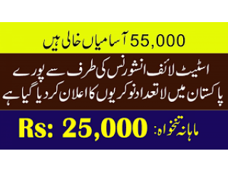 Jobs Available In Karachi State Life Pakistan