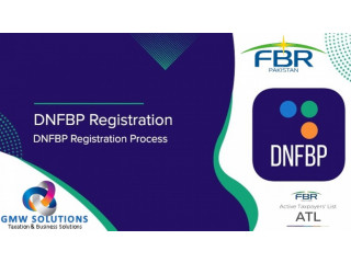 Estate Agents, Jewelers and Service Provider Urgently Registered in FBR and Get Certified From DFNBP.