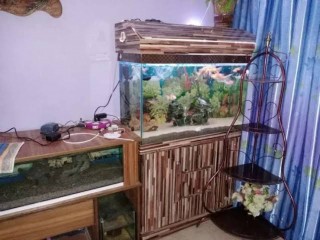 3 Feet new Condition Aquarium