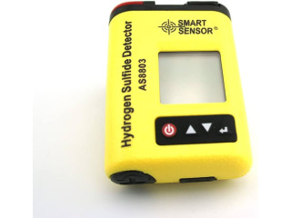 Hydrogen Sulfide (H2S) Gas Detector