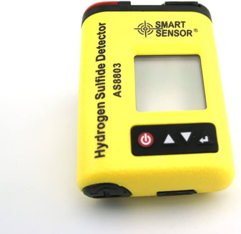 hydrogen-sulfide-h2s-gas-detector-big-4