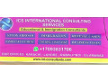 international-consulting-services-for-visa-small-0