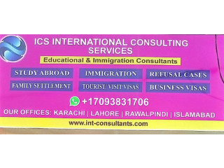 INTERNATIONAL CONSULTING SERVICES FOR VISA