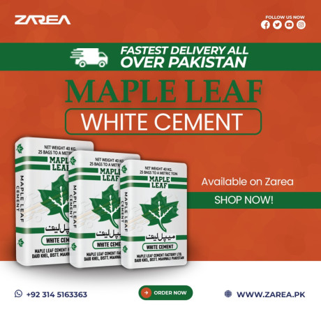 maple-leaf-white-cement-available-on-zarea-big-0