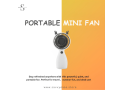 portable-mini-fan-small-0