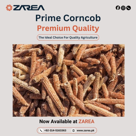 premium-red-corncob-available-now-at-zarea-limited-big-0