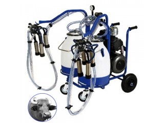 Buffalo milking machine Turkey