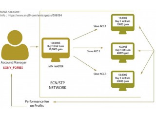 SONY Forex MAM Service with Fxchoice Money Manager Program
