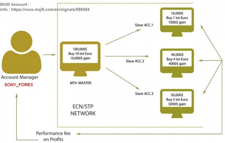 sony-forex-mam-service-with-fxchoice-money-manager-program-big-0