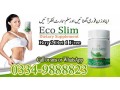 eco-slim-in-pakistan-small-1