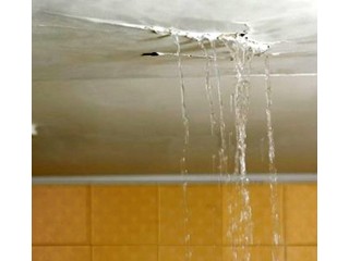 Make Ur Roof Waterproof Bathroom Leakage & Seepage Water