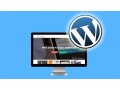 wordpress-website-design-5-pages-small-0